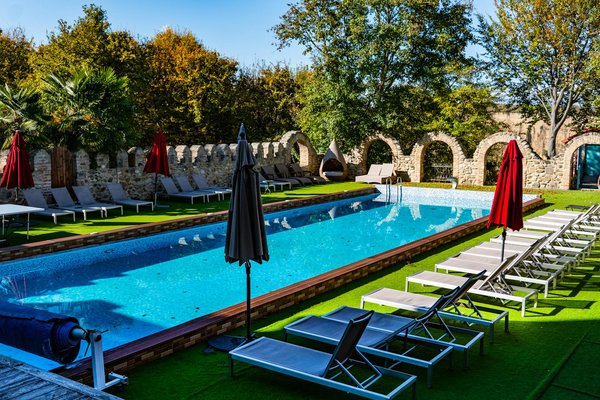 Favoriser des plantes répulsives : une alternative aux insecticides