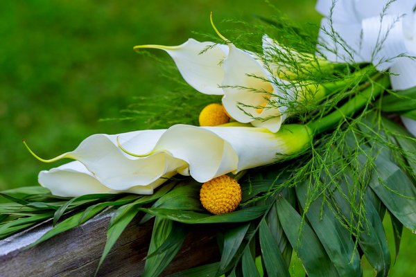 Tout savoir sur la livraison de fleurs pour deuil en 3h par un fleuriste professionnel